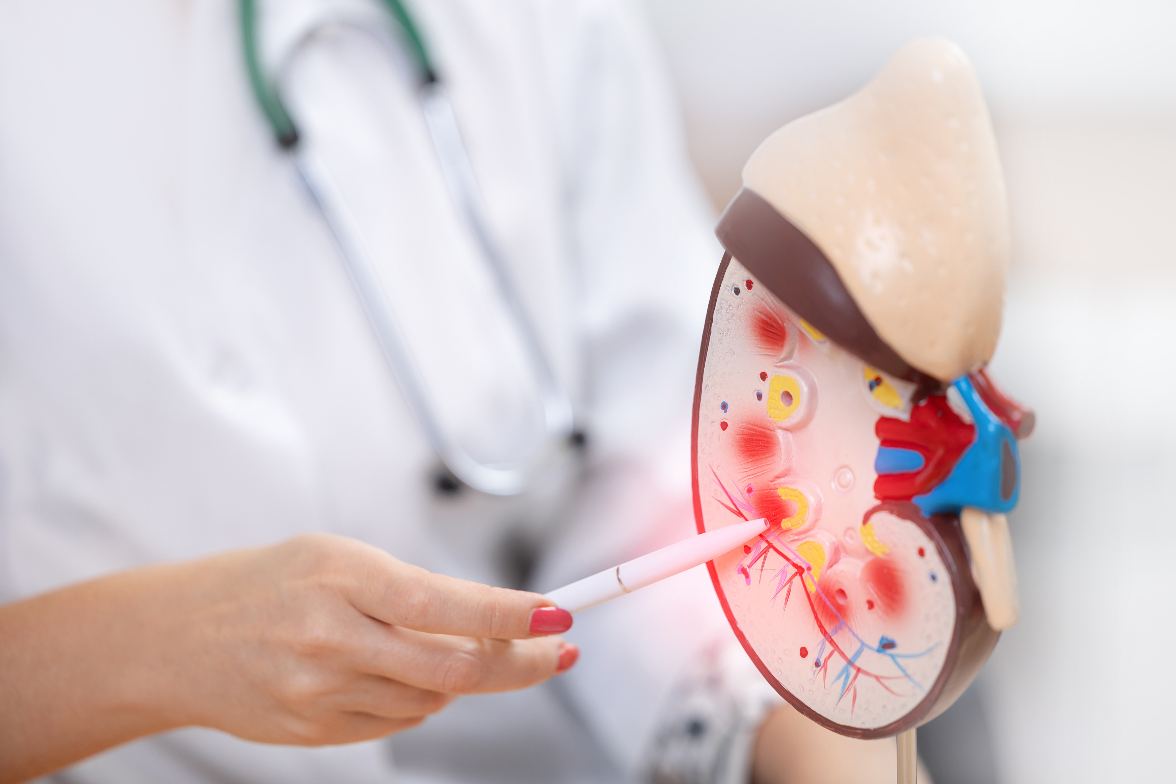 신장,체액 관련 검사