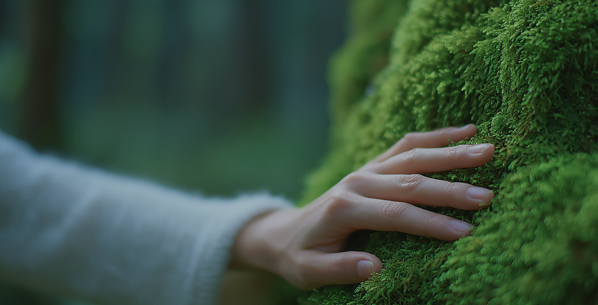 당신 곁에서 매일 함께하는 케어